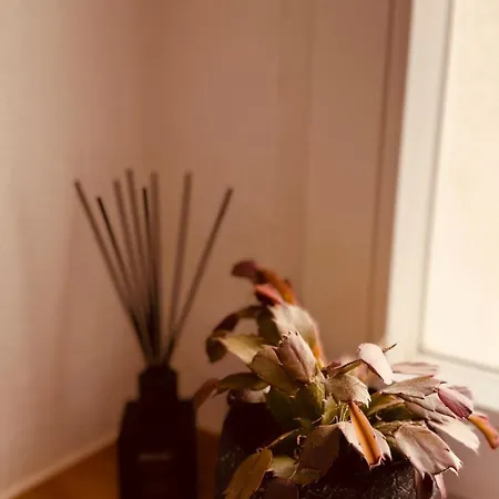 The Cozy Corner - Apartament