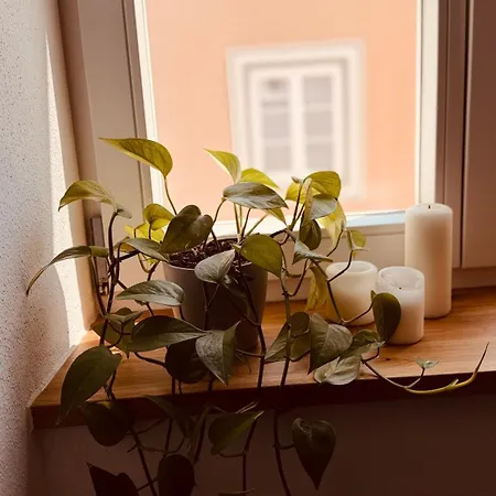 Cozy Corner - Passau
