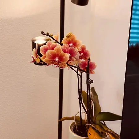 Cozy Corner - Apartamento Passau