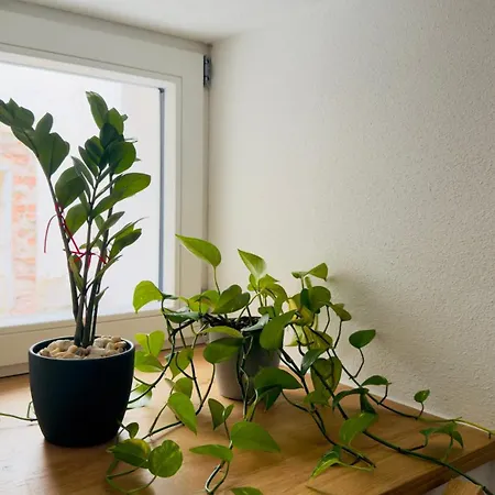 Apartamento Cozy Corner -